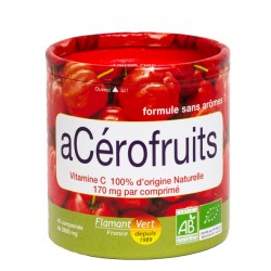 Acérofruits 45 comprimés