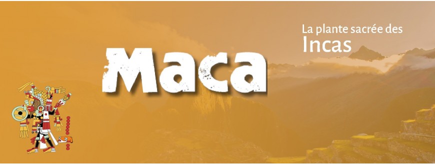 Maca - Flamant Vert