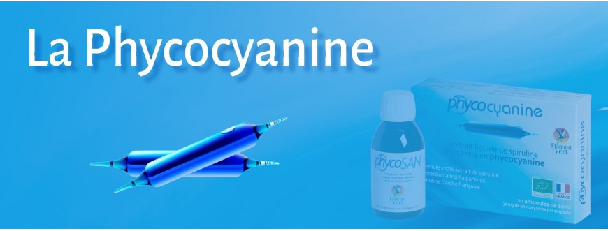 Phycocyanine - Flamant Vert