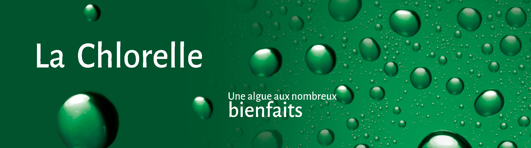 tete de page Chlorelle.jpg